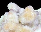 Cactus Quartz (Amethyst) Cluster - Large Crystals #62964-2